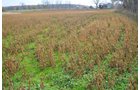 Property photo 2 - 80 Acres & Home - Property Offered in 4 Tracts from 2.3 to 30.0 Acres